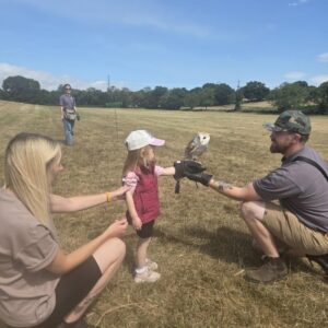 GROUPED FALCONRY EXPERIENCES