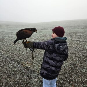 Grouped 1.5hr Hawk Walk