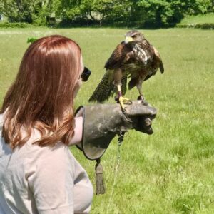 Private Hawk Walk