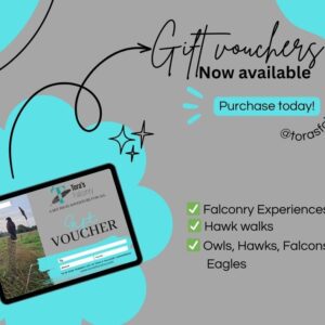 Gift Voucher